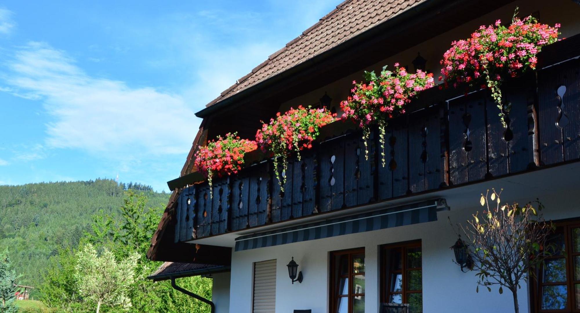 Genusshotel Hirschen - Erholung Im Gruenen Sallneck Cameră foto