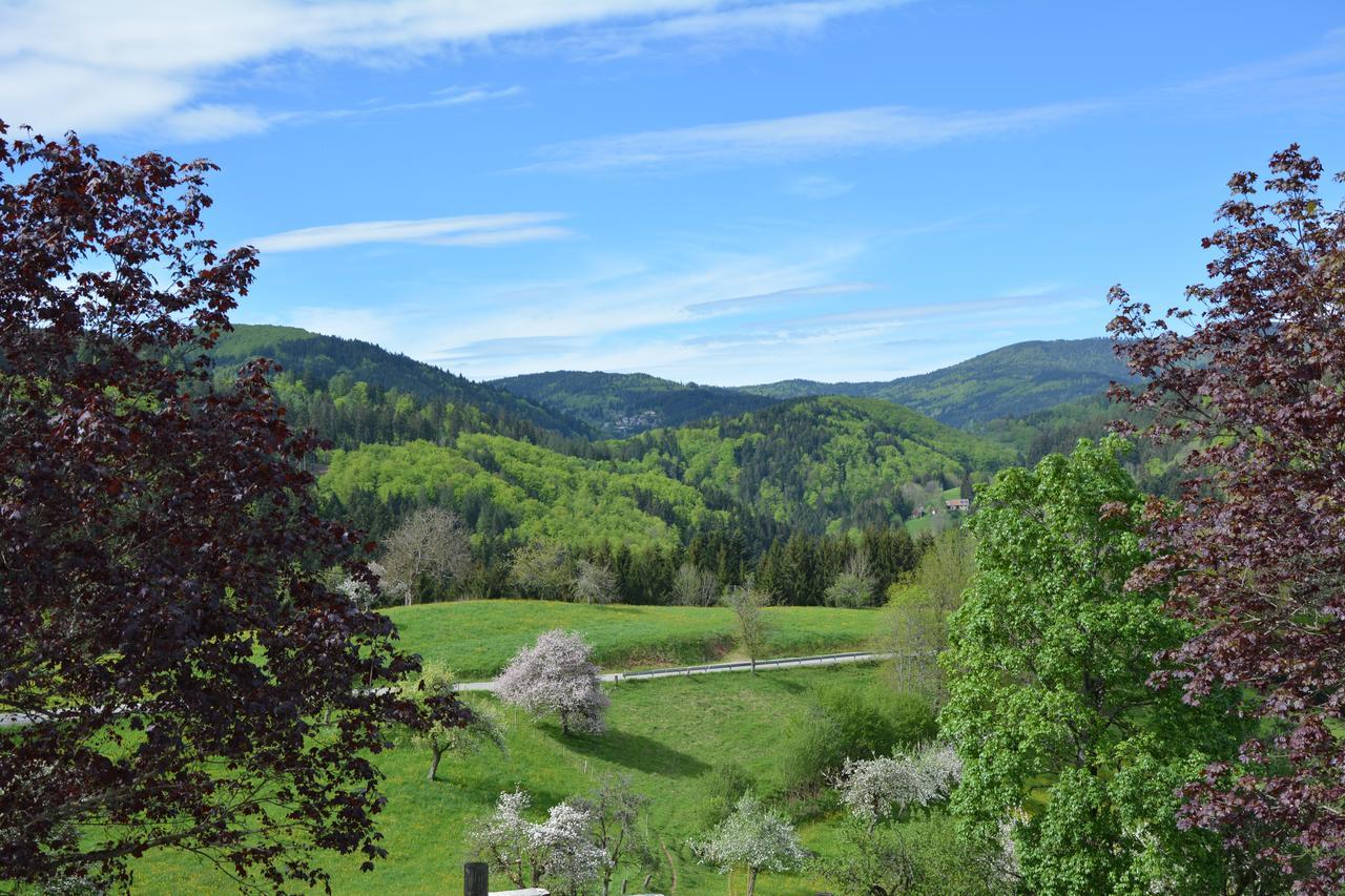 Genusshotel Hirschen - Erholung Im Gruenen Sallneck Exterior foto